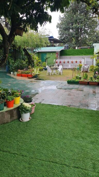 Olive Greens Homestay Dehradun Luaran gambar